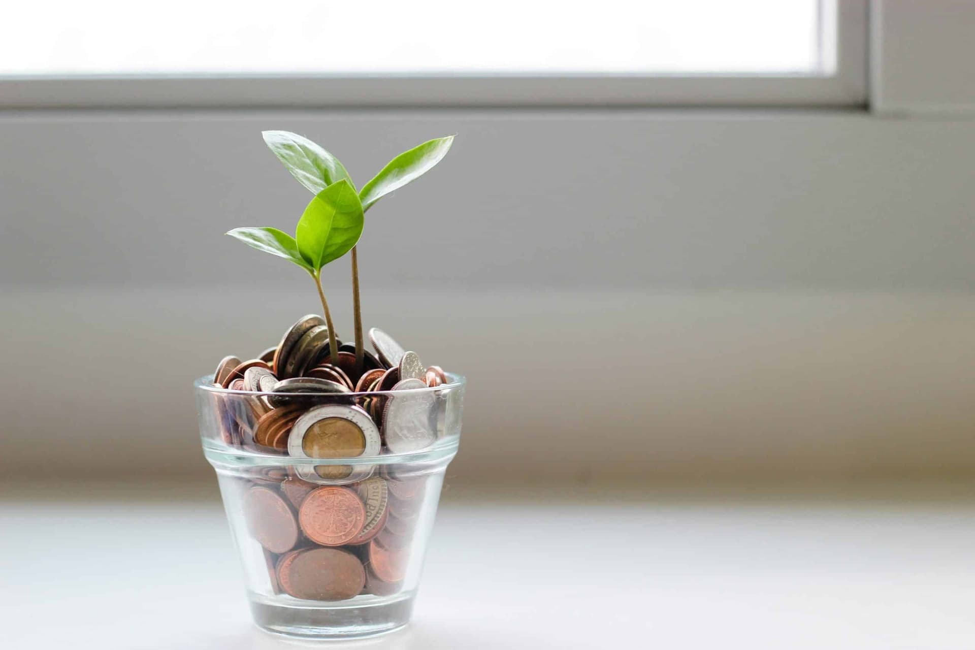 Woningrenovatie in modern interieur voor blog Kosten besparingstips met Renovlies